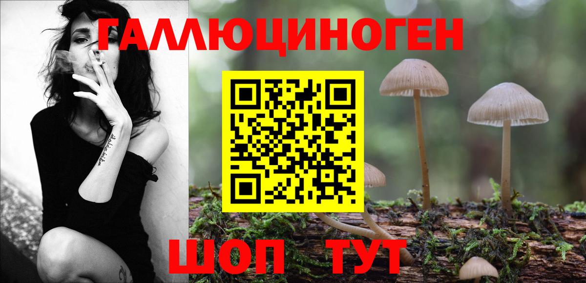 Галлюциногенные грибы мицелий  Галлюциногенные грибы GOLDEN TEACHER  Рассказово  Вход с VPN 