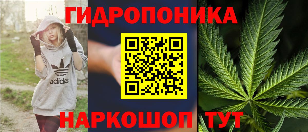 Бошки Шишки VHQ  Бошки Шишки White Widow  Рассказово  Бошки Шишки тримм  Вход с VPN 